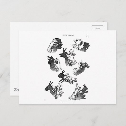 De Wall Hand Shadows Briefkaart (Voorkant / Achterkant)