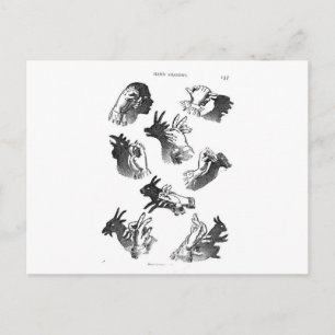 De Wall Hand Shadows Briefkaart