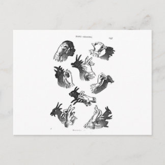 De Wall Hand Shadows Briefkaart