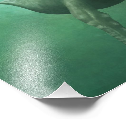 De walvis en de maan foto afdruk (Hoek)