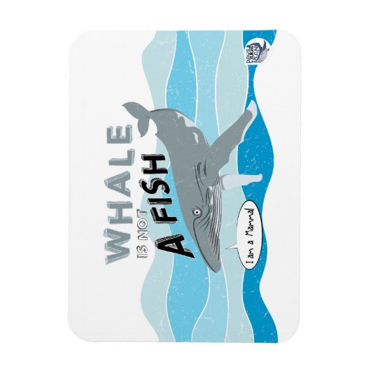 De walvis is geen vis magneet (Verticaal)