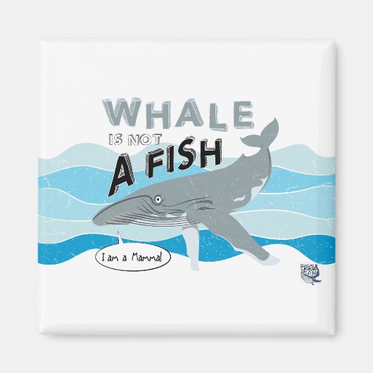 De walvis is geen vis magneet (Voorkant)
