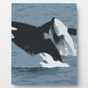 De Walvis van Orka Fotoplaat