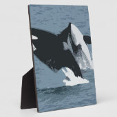De Walvis van Orka Fotoplaat (Zijkant)