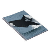 De Walvis van Orka Notitieboek (Rechterzijde)
