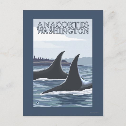 De Walvissen van de orka #1 - Anacortes, Briefkaart (Voorkant)