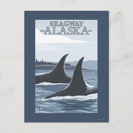 De Walvissen van de orka #1 - Skagway, Alaska Briefkaart (Voorkant)
