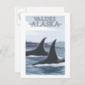 De Walvissen van de orka #1 - Valdez, Alaska Briefkaart (Voorkant / Achterkant)