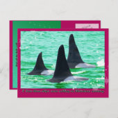 De Walvissen van de orka komen Varend op de Feestdagenkaart (Voorkant / Achterkant)