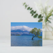 De Wanaka Boom, Meer Wanaka, NZ - Briefkaart (Staand voorkant)