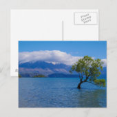 De Wanaka Boom, Meer Wanaka, NZ - Briefkaart (Voorkant / Achterkant)