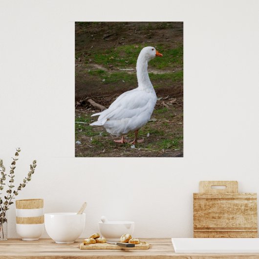 De Wandel About Poster (Keuken)