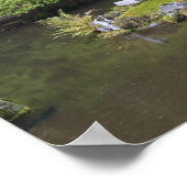 De Wandelvijver met Maanbrug Poster (Hoek)