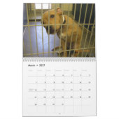 De ware kleuren van de Agenda van Honden 2010 Kalender (Mar 2027)