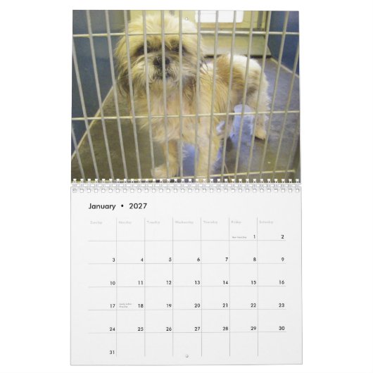 De ware kleuren van de Agenda van Honden 2010 Kalender (Jan 2027)