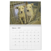 De ware kleuren van de Agenda van Honden 2010 Kalender (Feb 2027)