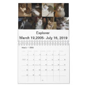 De ware Walton's kalender voor 2020 (Mar 2026)