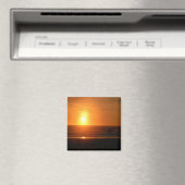 De warmte... magneet (Insitu (Vaatwasser))