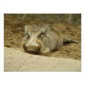 De Warthog Foto Afdruk (Voorkant)