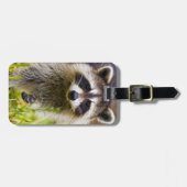 De wasbeer, Procyon lotor Bagagelabel (Voorkant horizontaal)