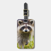 De wasbeer, Procyon lotor Bagagelabel (Voorkant verticaal)