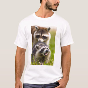 De wasbeer, Procyon lotor, is een wijdverspreide, T-shirt