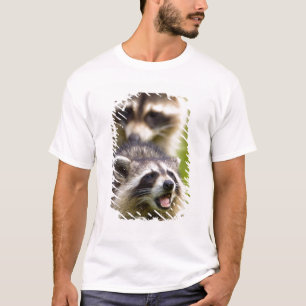 De wasbeer, Procyon lotor, is een wijdverspreide, T-shirt