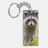 De wasbeer, Procyon lotor Sleutelhanger (Voorkant Links)