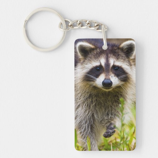 De wasbeer, Procyon lotor Sleutelhanger (Voorkant)