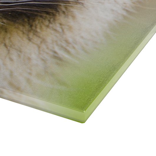 De wasbeer, Procyon lotor Snijplank (Hoek)