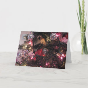 De Wasbeer van Kerstmis Feestdagen Kaart