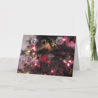 De Wasbeer van Kerstmis Feestdagen Kaart