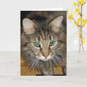 De wasbeer van Maine Kaart (Gele Bloem)