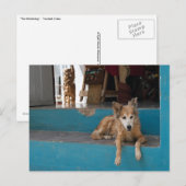 De Watchdog. Briefkaart (Voorkant / Achterkant)