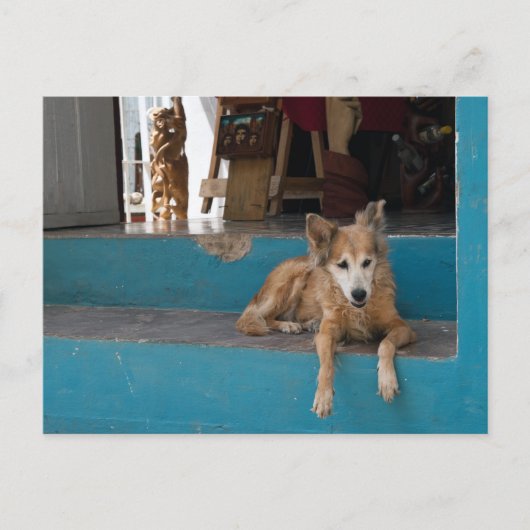 De Watchdog. Briefkaart (Voorkant)