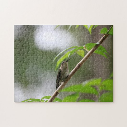 De Watcher Hummingbird Family Fun Puzzle Legpuzzel (Horizontaal)