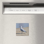 De Watcher Magnet (Insitu (Vaatwasser))
