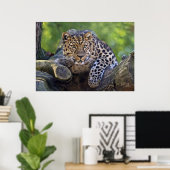 De Watcher Print (Thuiskantoor)