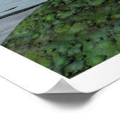 De waterduivel poster (Hoek)