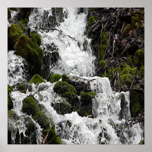 De wateren van de Russisp..... Poster (Voorkant)