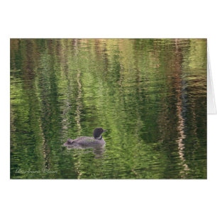 De wateren van Walden Pond—Common Loon