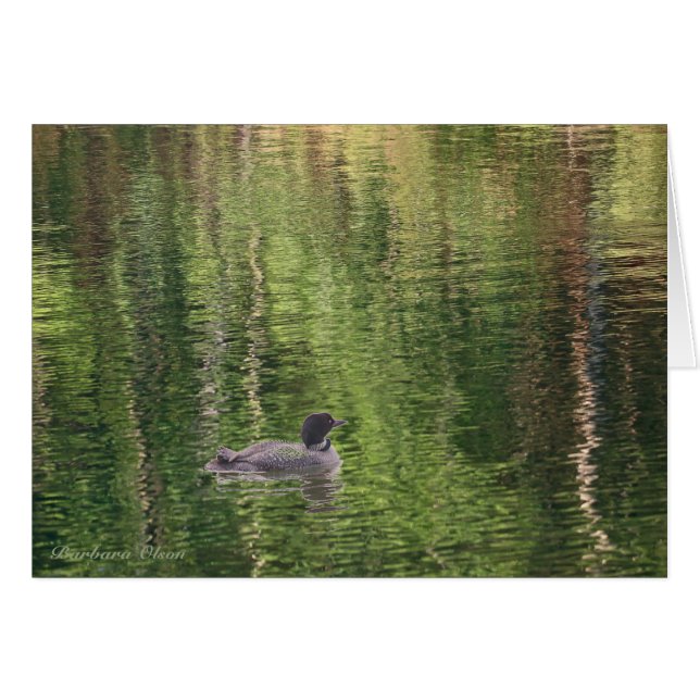 De wateren van Walden Pond—Common Loon (Voorkant Horizontaal)