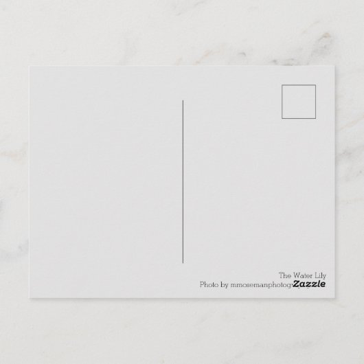 De waterLily Briefkaart (Achterkant)