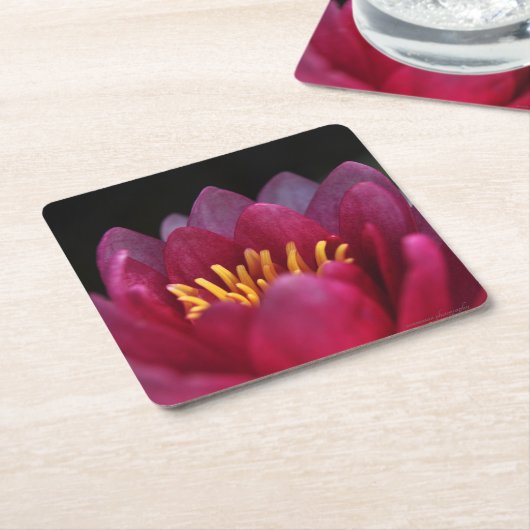 De waterLily Kartonnen Onderzetters (Schuin)