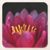 De waterLily Kartonnen Onderzetters (Voorkant)