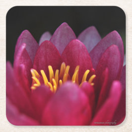 De waterLily Kartonnen Onderzetters