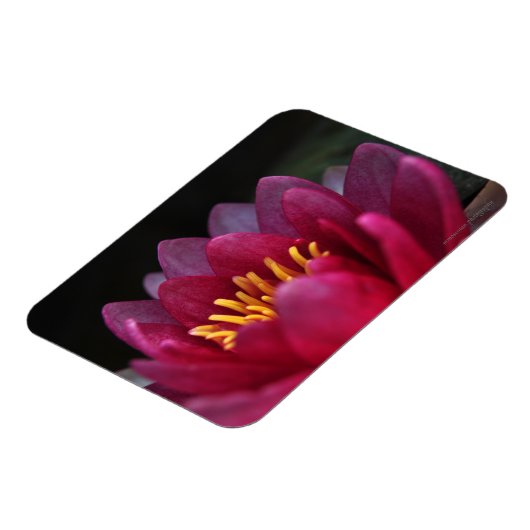De waterLily Magneet (Linkerzijde)