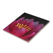 De waterLily Tegeltje (Zijkant)