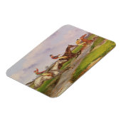 De waterpomp: de herfst Steeplechase in Ballara Magneet (Linkerzijde)