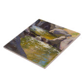 De waterval tegeltje (Zijkant)